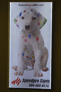 Speedpro Signs - Advertiser at Pitt Meadows Arena